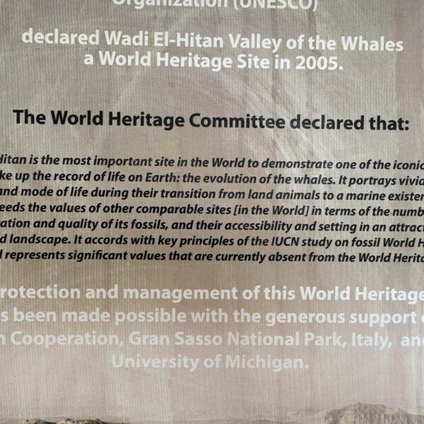 0 World Heritage Declaration 600x600