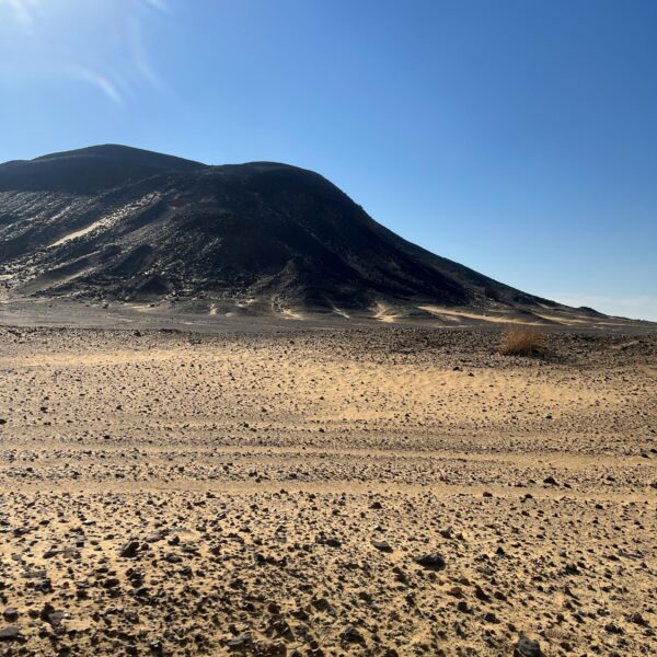 1 Black Desert View1 600x600
