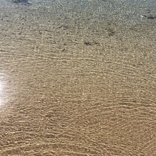 1 Dahab Swiss Inn3 Gulf of Aqqaba 600x600