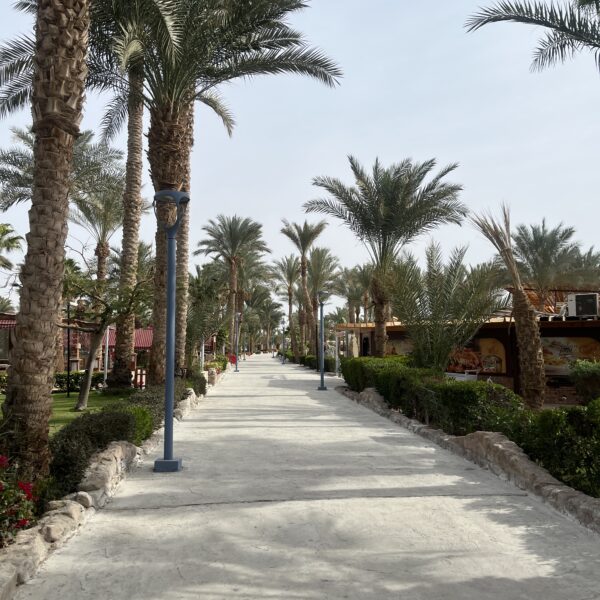 1 Sharm our Resort7 Walking Path 600x600