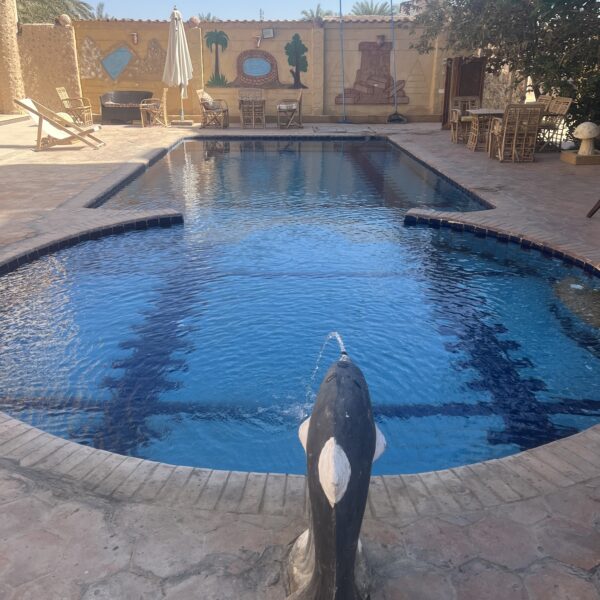 1 Siwa our hotel3 pool 1 600x600