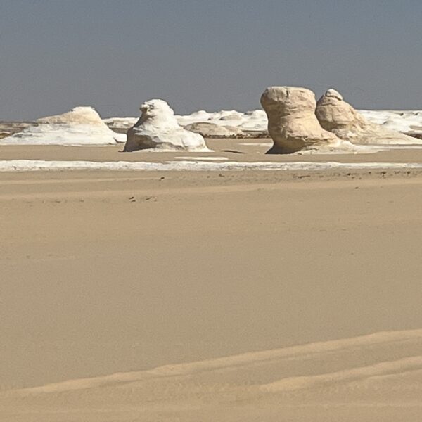 1 White Desert1 600x600