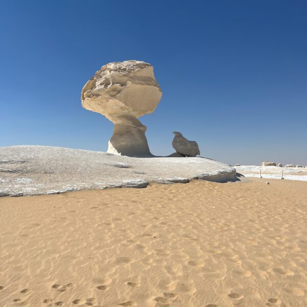 1 White Desert2 The Hen the Mushroom 600x600