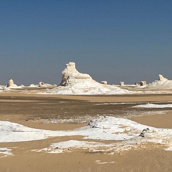 1 White Desert3 Another hen 600x600