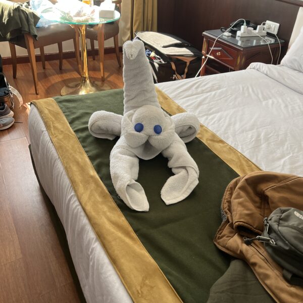 11 On the Ship1 Our Room1 Jan 2023 600x600