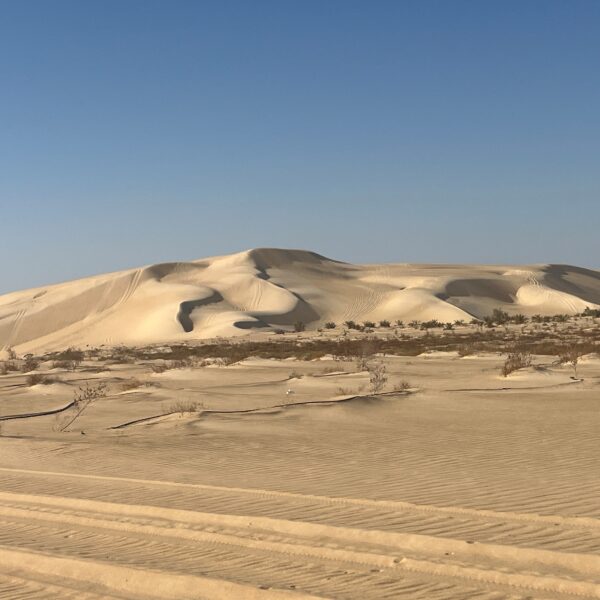 12 Siwa Desert View1 600x600