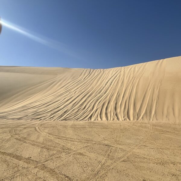 12 Siwa Desert View2 600x600