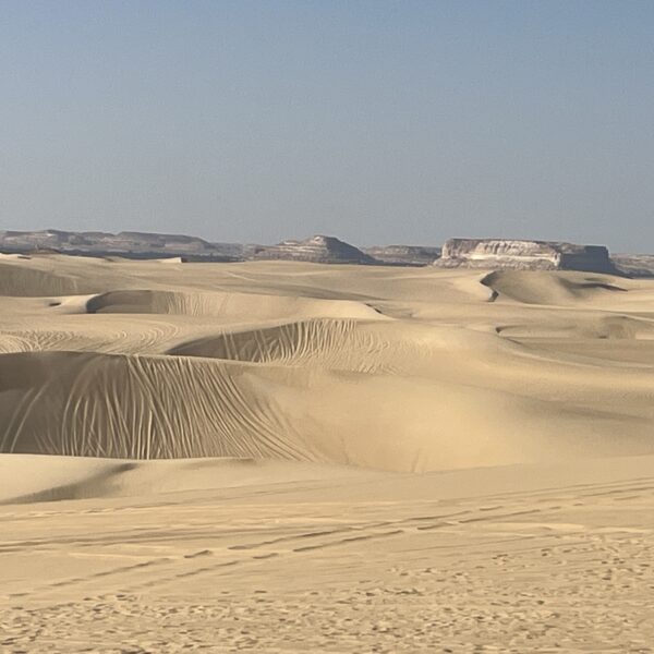12 Siwa Desert View3 600x600