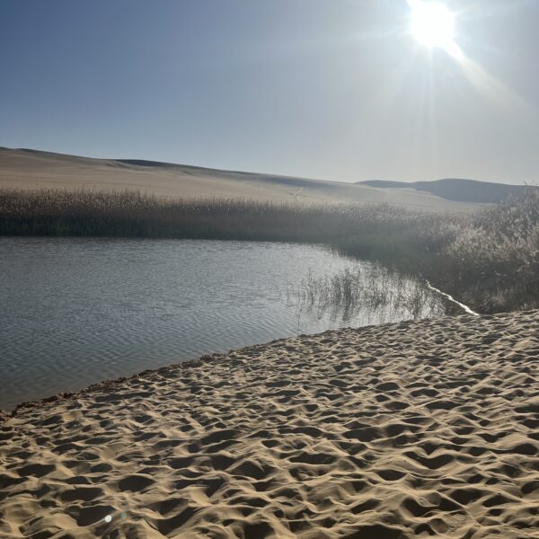 13 Siwa Cold Lake 600x600