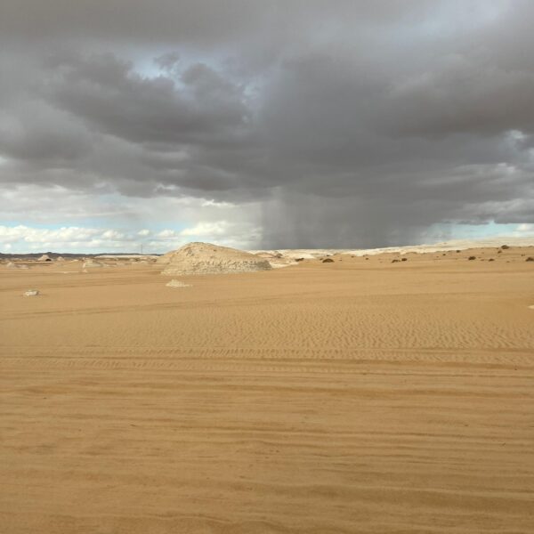 2 Black Desert Rain Cloud 1 600x600