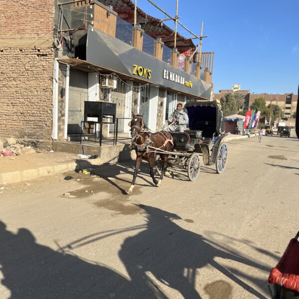 2 Edfu Carriages in town 600x600