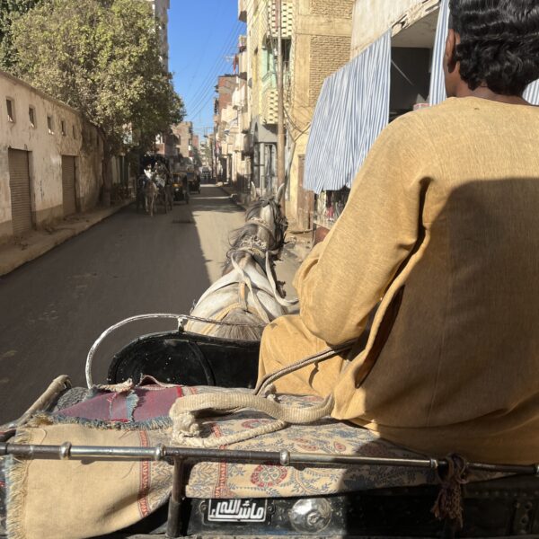 2 Edfu Horse Carriage2 600x600