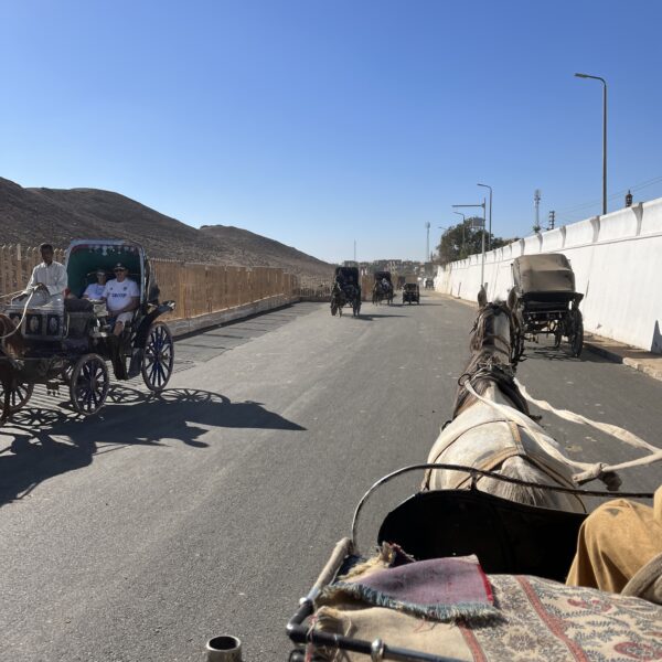 2 Edfu HorseCarriage5 600x600