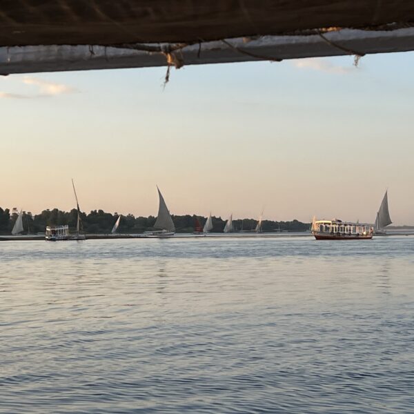 2 Felucca4 1 600x600