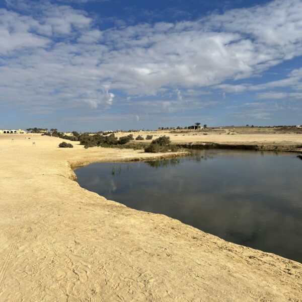 2 Lower Lake 600x600