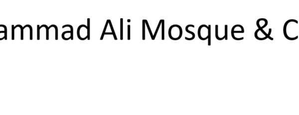 2 Muhammad Ali Mosque Citadel 1 600x231