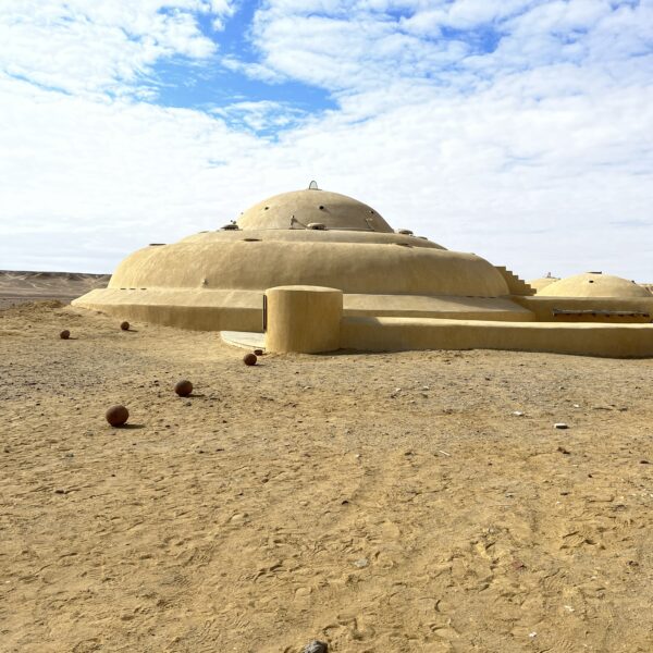 2 Museum 600x600
