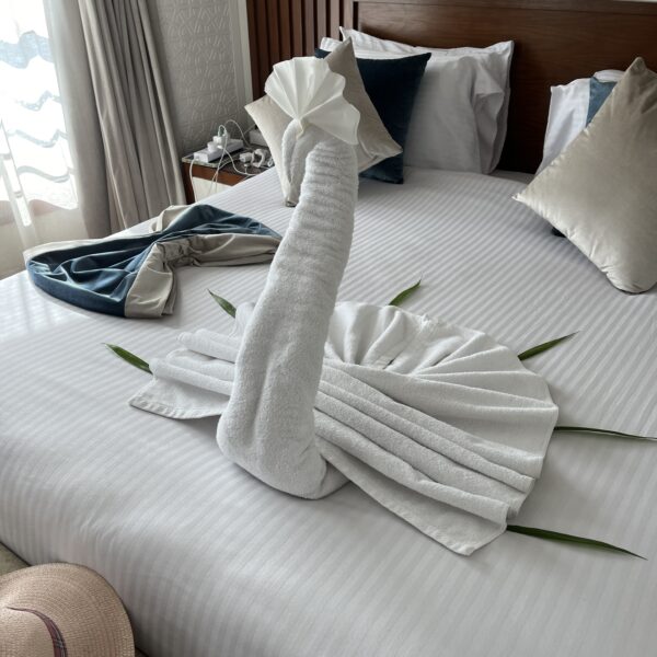 2 Nile Capital Our Room Jan 2024 600x600