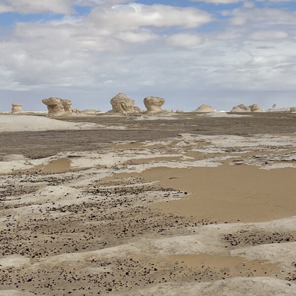 2 White Desert View2 600x600