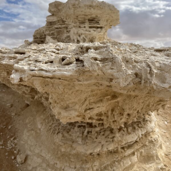 2 White Desert View3 600x600