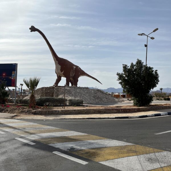 3 Sharm around town2 600x600