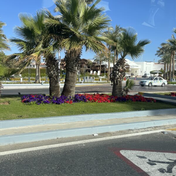 3 Sharm around town6 600x600