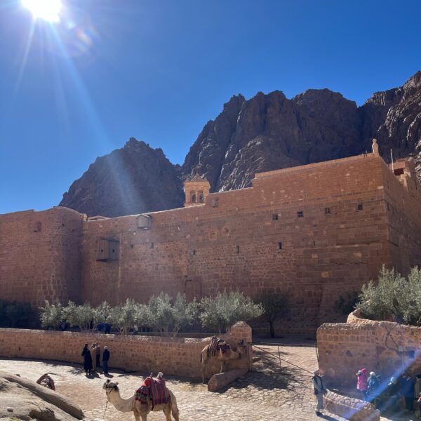 4 Dahab St Catherines 1 600x600