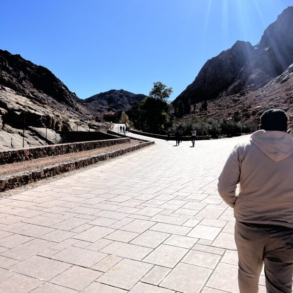 4 Dahab St Catherines2 600x600