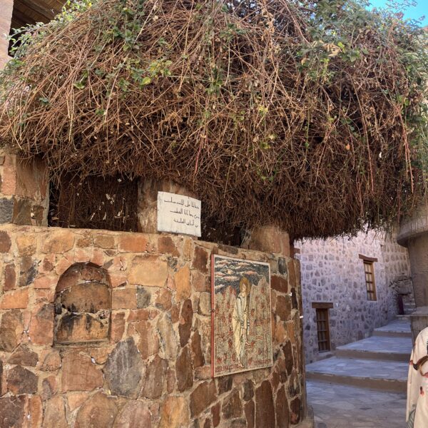 4 Dahab St Catherines5 1 600x600