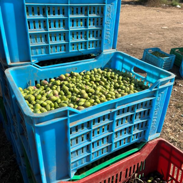 4 Farm Harvest3 1 600x600
