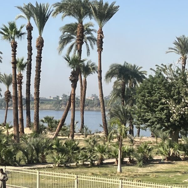 4 Nile View from Bayt Ward3 1 600x600