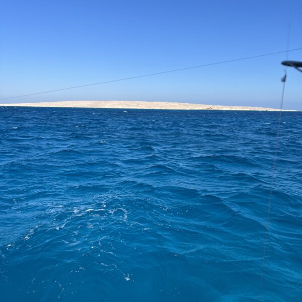 4 hurghada Fishing trolling lines out 600x600