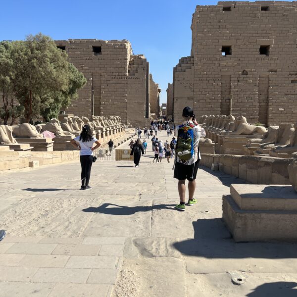 6 Karnak Temples8 Entrance lines with Sphinxs1 600x600