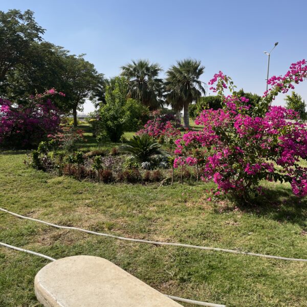 7 Garden2 600x600