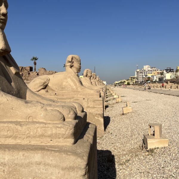 7 Luxor Temple2 Ave of Sphinxes7 1 600x600