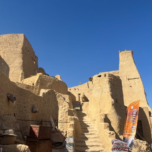 8 Siwa Shali Fortress 600x600