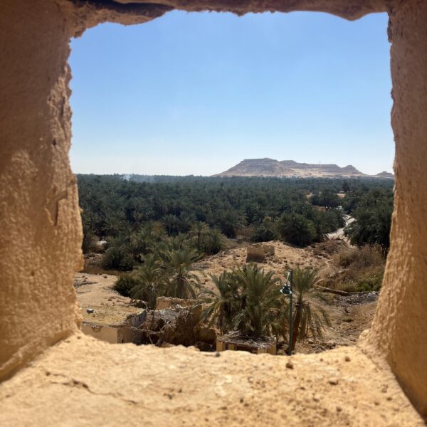 9 Siwa Oracle Temple4 view of Oasis 1 600x600