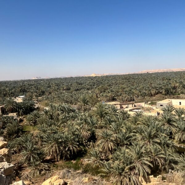 9 Siwa Oracle Temple5 View of Oasis2 600x600