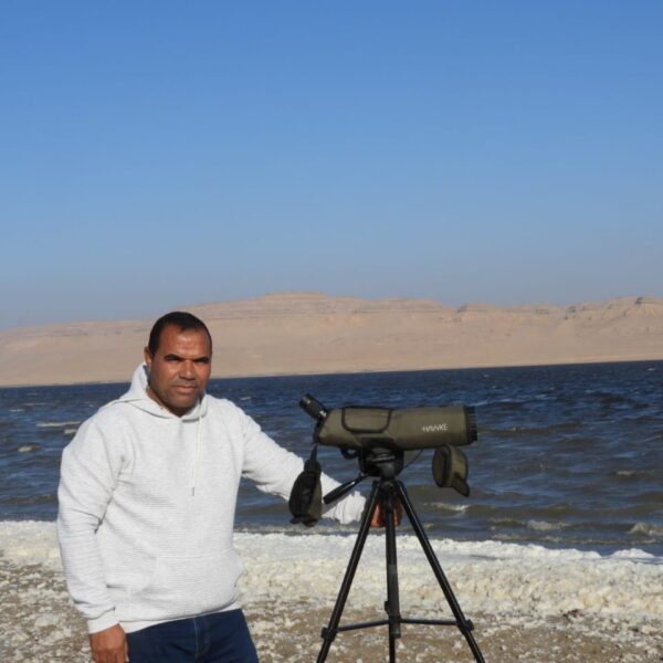 Ahmed Mansour 600x600