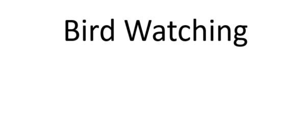 Bird Watching 600x231