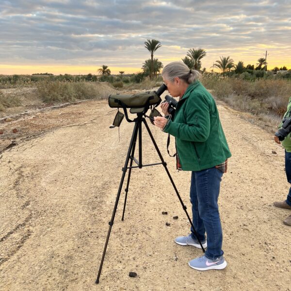 Birdwatching3 Telescope 600x600