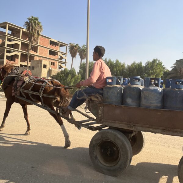 Cairo Horse Buggy 2 600x600