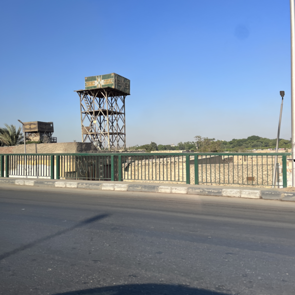 Cairo Pigeon Coop 600x600