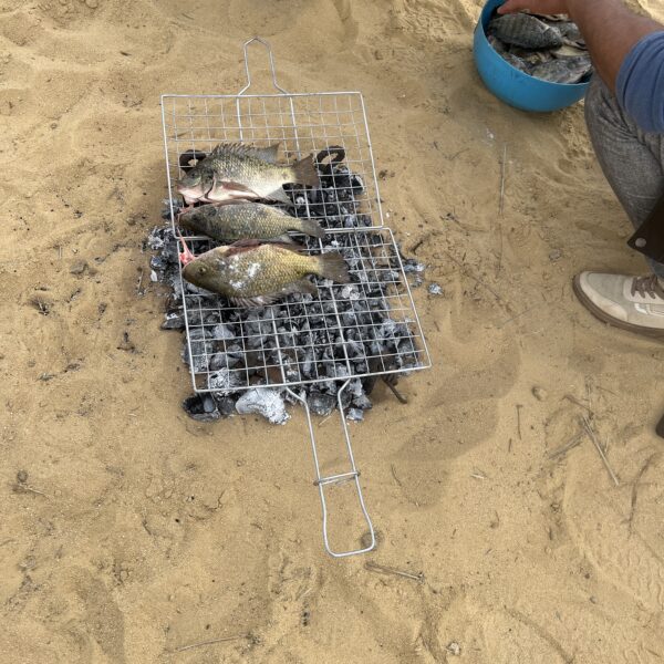 Cooking the Catch 600x600