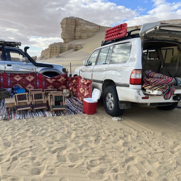 Desert Snack Time 600x600