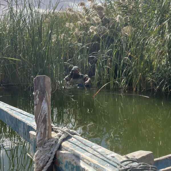 Fishing by floating and a net 600x600