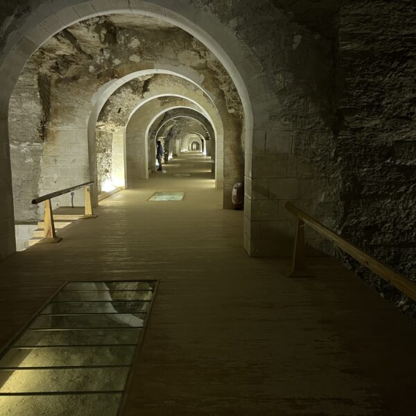 Inside the Serapeum 1 600x600