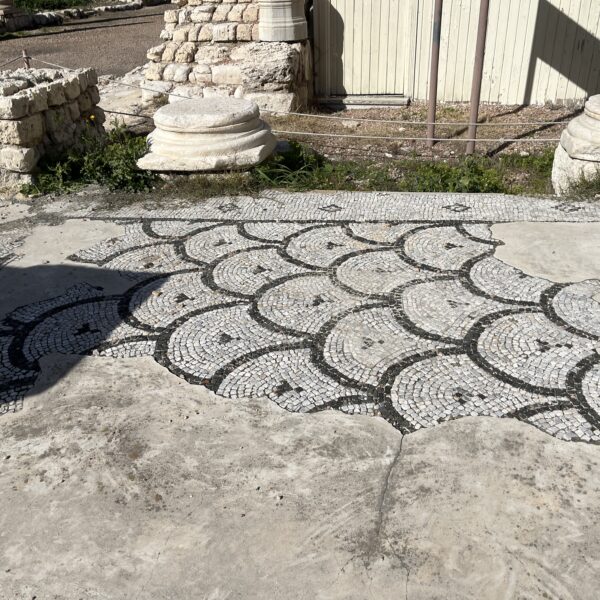 Kom el Dikka1 600x600