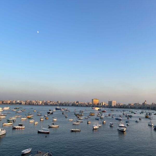 Med View 1 600x600
