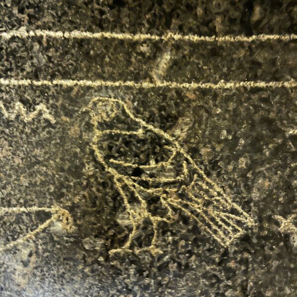 Scarphagus at Serapeum Bird 600x600